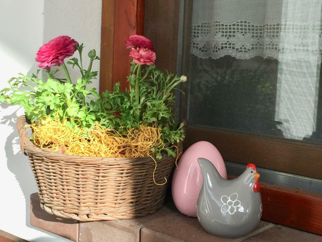 Apartament Ambitus-Haz Egerszalók Zewnętrze zdjęcie